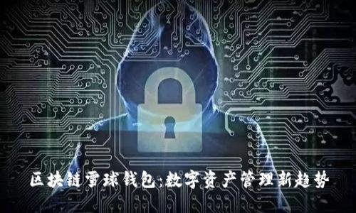 区块链雪球钱包：数字资产管理新趋势