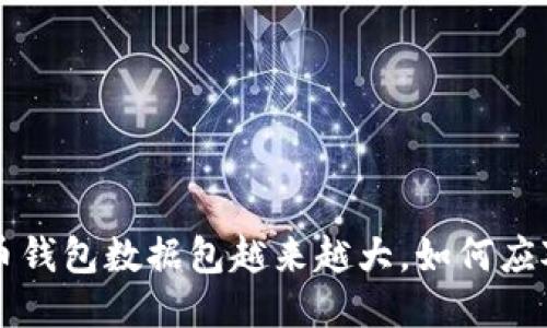jiaoti比特币钱包数据包越来越大，如何应对这一挑战？