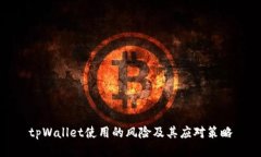 tpWallet使用的风险及其应对策略