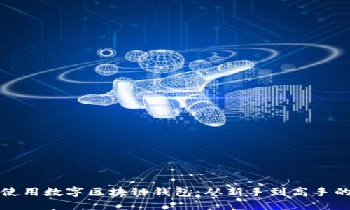 如何安全使用数字区块链钱包：从新手到高手的全面指南