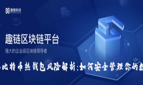 2023年比特币热钱包风险解析：如何安全管理你的数字资产
