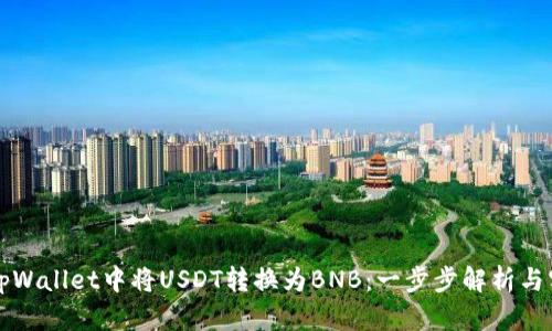 如何在tpWallet中将USDT转换为BNB：一步步解析与实用指南