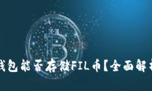 以太坊钱包能否存储FIL币？全面解析与建议