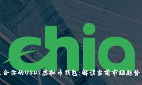 如何选择适合你的USDT虚拟币钱包：解读当前市场趋势与热门选项