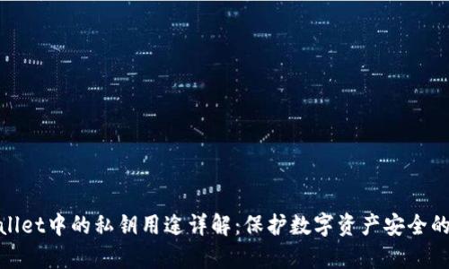 tpWallet中的私钥用途详解：保护数字资产安全的关键