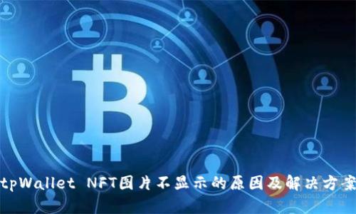 tpWallet NFT图片不显示的原因及解决方案