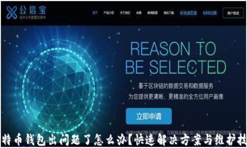 
比特币钱包出问题了怎么办？快速解决方案与维护技巧