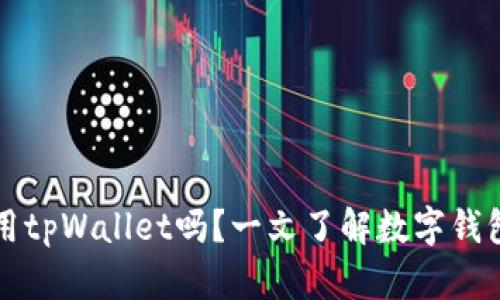 ### 美国ID可以使用tpWallet吗？一文了解数字钱包与美国身份证的结合