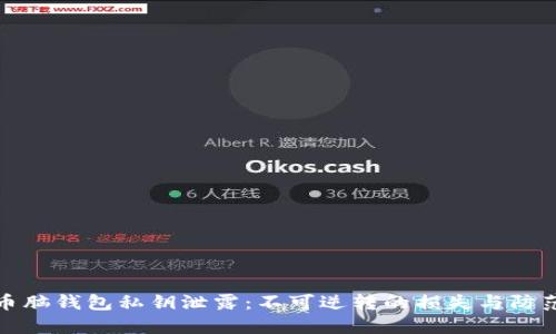 比特币脑钱包私钥泄露：不可逆转的损失与防范策略