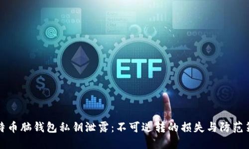 比特币脑钱包私钥泄露：不可逆转的损失与防范策略