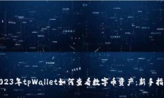 2023年tpWallet如何查看数字币资产：新手指南