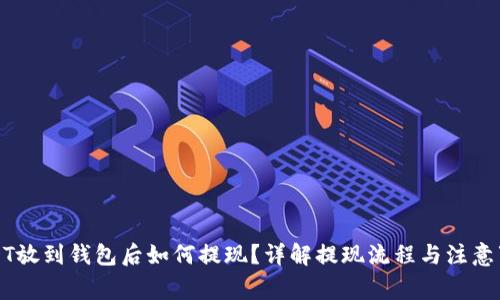USDT放到钱包后如何提现？详解提现流程与注意事项