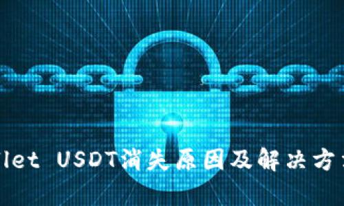 tpWallet USDT消失原因及解决方法分析