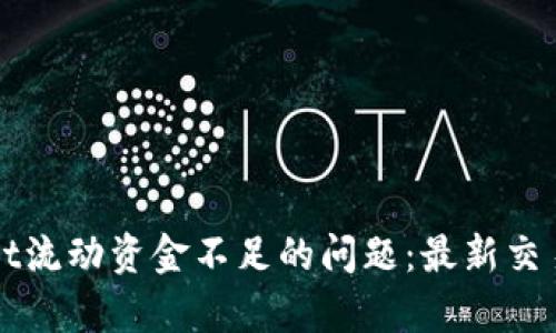 如何解决tpWallet流动资金不足的问题：最新交易技巧与解决方案