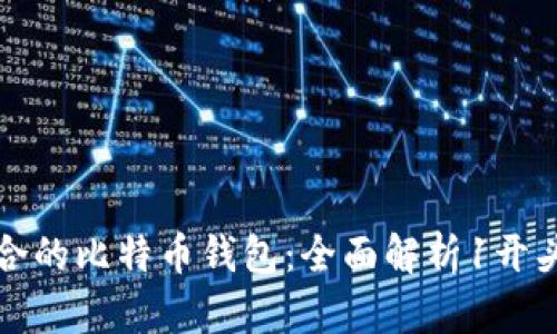 如何选择适合的比特币钱包：全面解析1开头的钱包选项