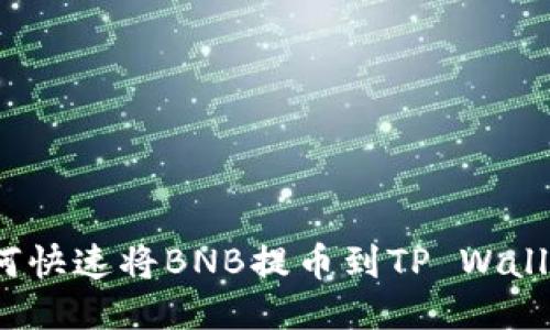 如何快速将BNB提币到TP Wallet？