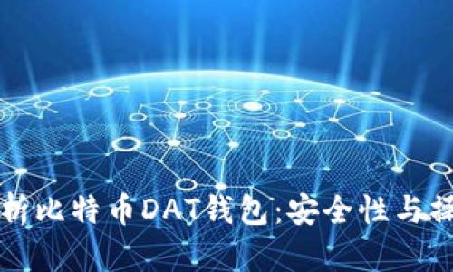 全面解析比特币DAT钱包：安全性与操作指南