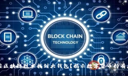 如何利用区块链技术找到大钱包？揭示数字货币持有者的秘密