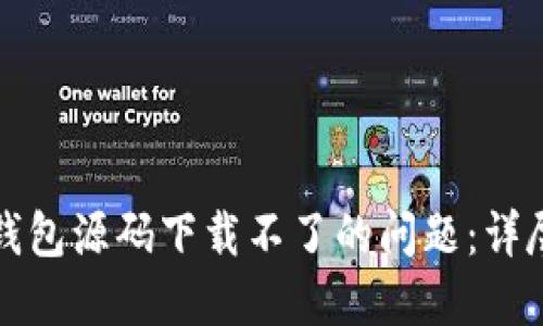 如何解决区块链钱包源码下载不了的问题：详尽指南与实用技巧