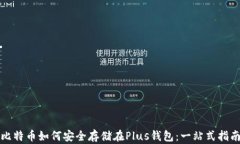 比特币如何安全存储在P