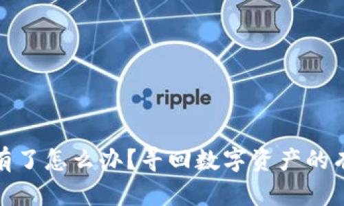 : 比特派钱包币没有了怎么办？寻回数字资产的有效途径与最新热点