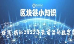 t p钱包怎么赚钱：揭秘2023年最前沿的数字资产增