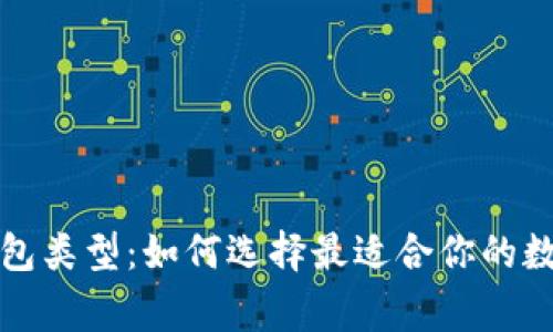 常用的比特币钱包类型：如何选择最适合你的数字资产管理方案