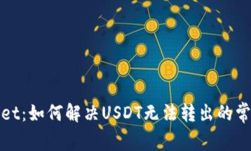 tpWallet：如何解决USDT无法转出的常见问题