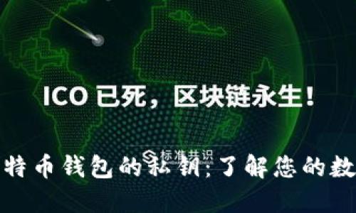 如何查看比特币钱包的私钥：了解您的数字资产安全