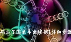 tpWallet密码忘了怎么导出密钥？详细步骤与方法解