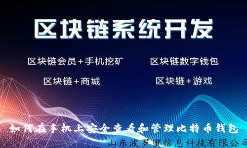 如何在手机上安全查看和管理比特币钱包