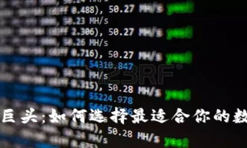 tpWallet三巨头：如何选择最适合你的数字资产钱包