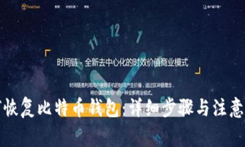 如何恢复比特币钱包：详细步骤与注意事项
