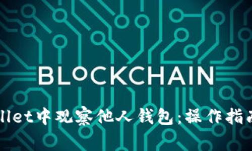 如何在tpWallet中观察他人钱包：操作指南与注意事项