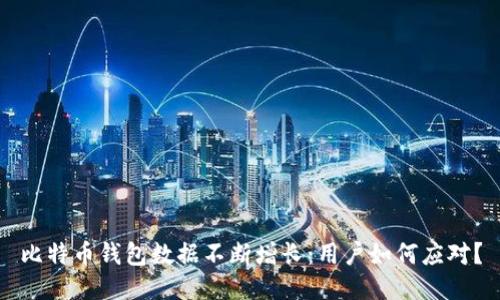 比特币钱包数据不断增长:用户如何应对?