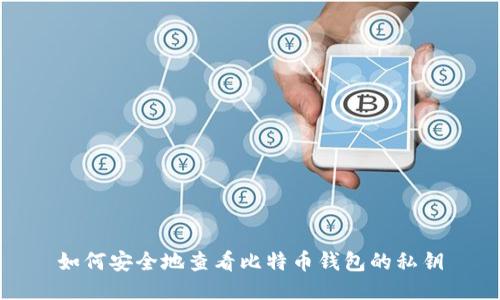 如何安全地查看比特币钱包的私钥