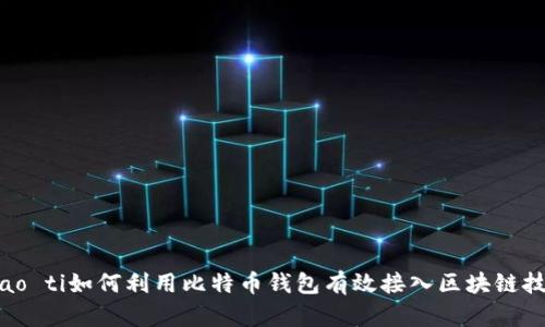biao ti如何利用比特币钱包有效接入区块链技术