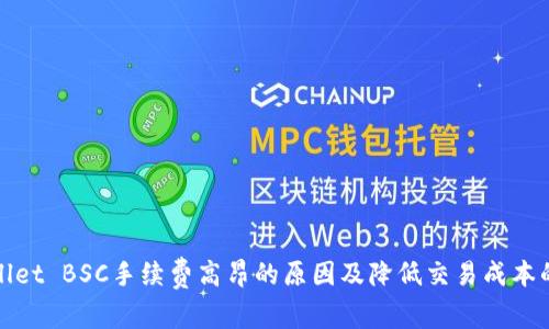 tpWallet BSC手续费高昂的原因及降低交易成本的策略