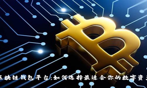 国外最大区块链钱包平台：如何选择最适合你的数字资产管理工具