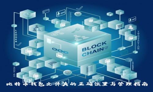 比特币钱包文件夹的正确位置与管理指南