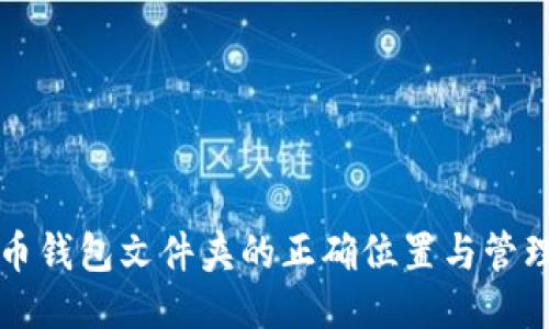 比特币钱包文件夹的正确位置与管理指南
