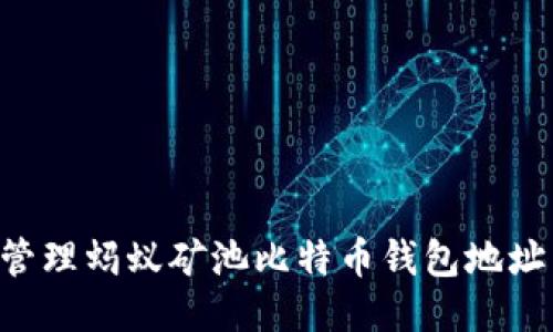 如何安全管理蚂蚁矿池比特币钱包地址:全面指南