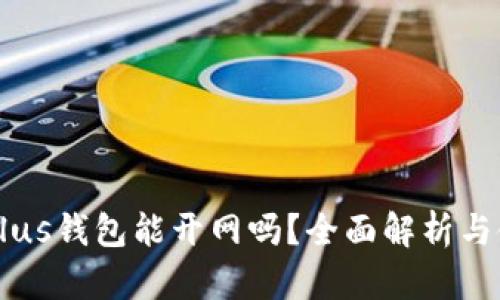 区块链Plus钱包能开网吗？全面解析与使用指南