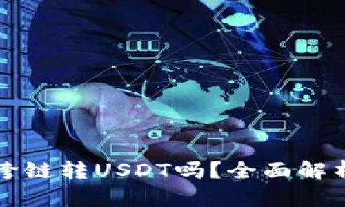 TP钱包可以跨链转USDT吗？全面解析与操作指南