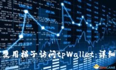 如何使用梯子访问tpWallet：详细指南