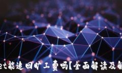 tpWallet能追回旷工费吗？全面解读及解决方案