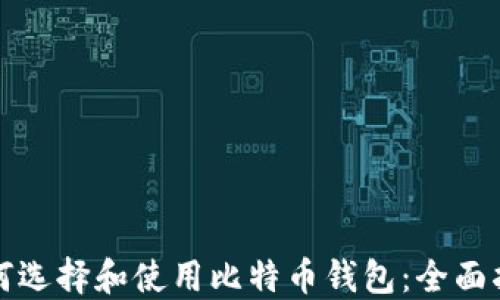 
如何选择和使用比特币钱包：全面指南