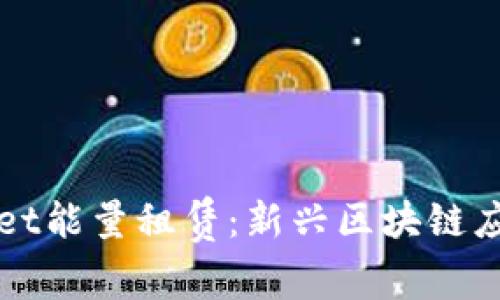 tpWallet能量租赁：新兴区块链应用解析