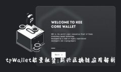 tpWallet能量租赁：新兴区块链应用解析