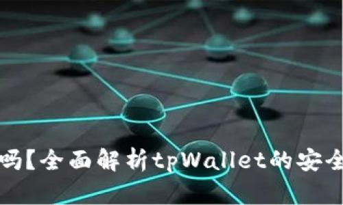 tpWallet安全吗？全面解析tpWallet的安全性与使用风险